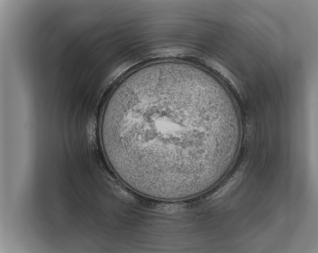 X0000111940778200908171256