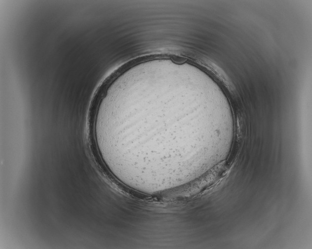 X0000111940780200908171256