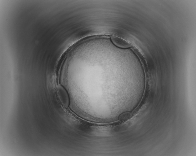 X0000111940781200908171256