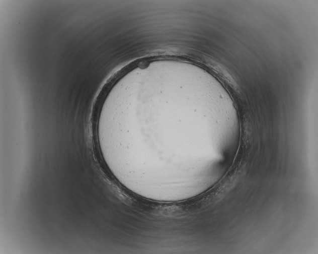 X0000111940784200908171256