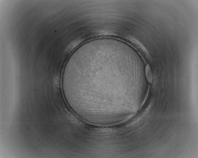 X0000111940785200908171256