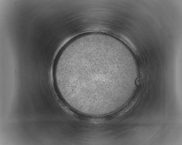 X0000111940788200908171256