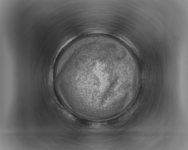 X0000111940790200908171256