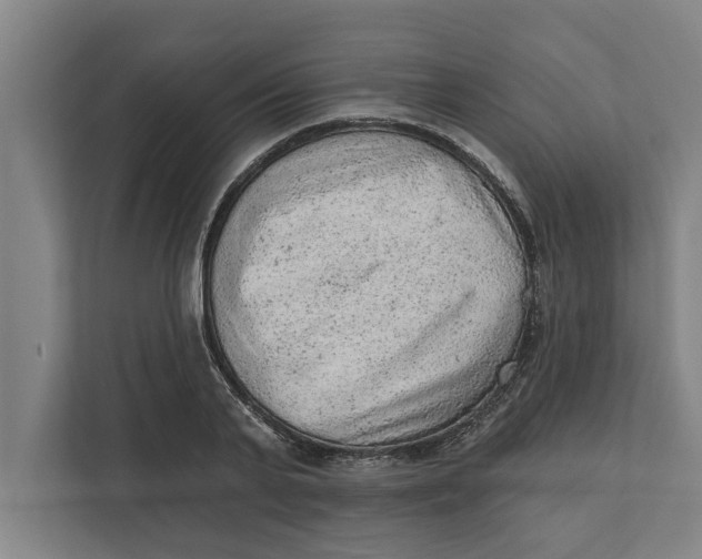 X0000111940791200908171256