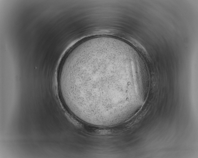 X0000111940792200908171256