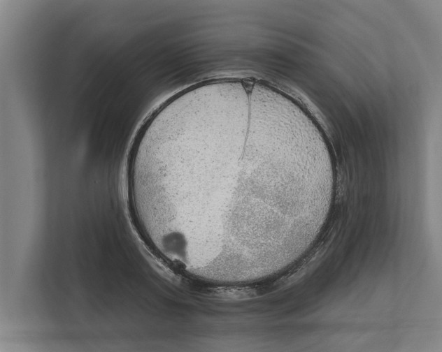 X0000111940795200908171256