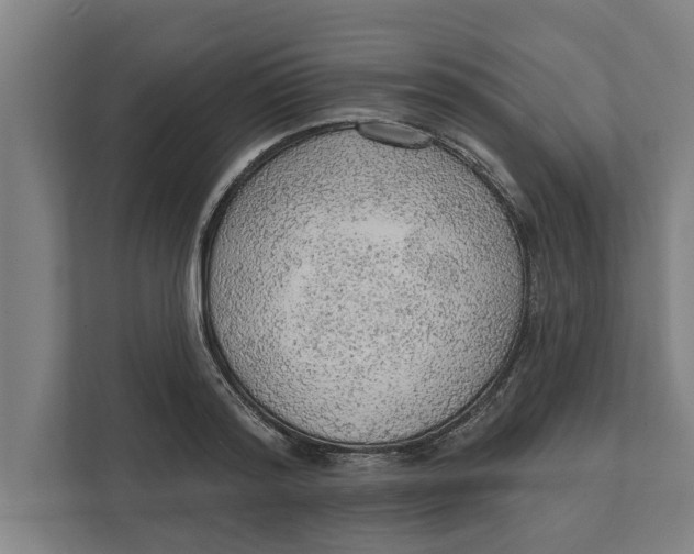 X0000111940796200908171256