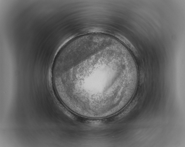 X0000111940798200908171256