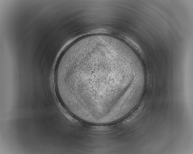 X0000111940800200908171256