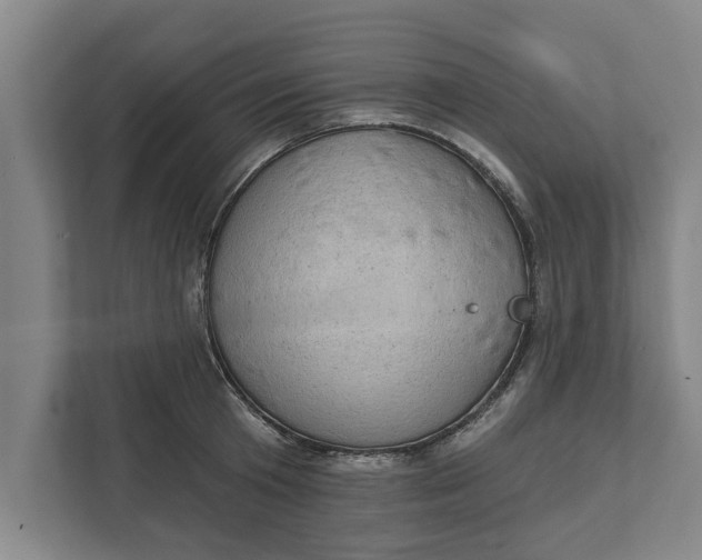 X0000111940801200908171256