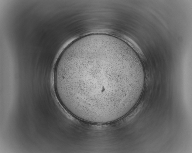 X0000111940804200908171256