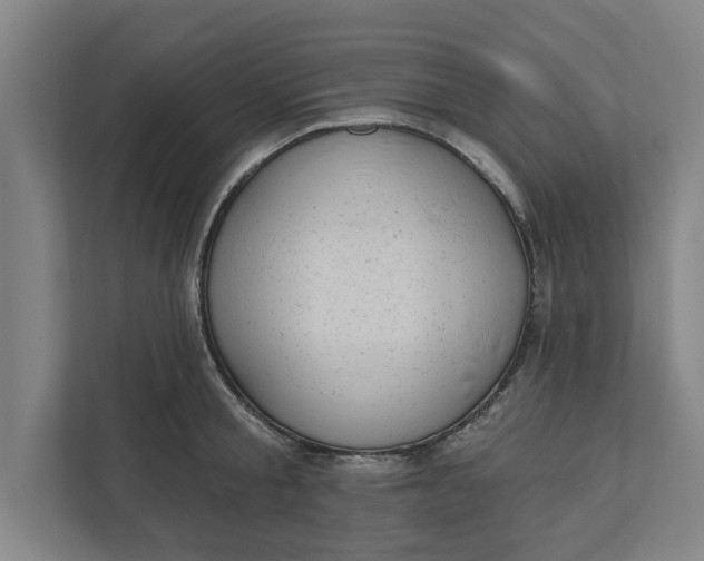 X0000111940805200908171256