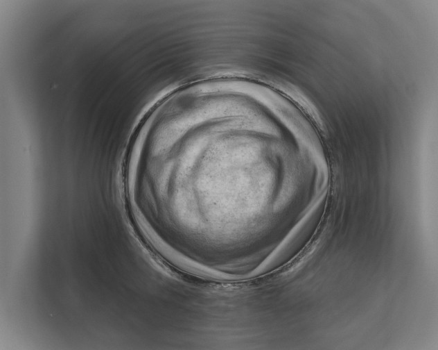 X0000111940806200908171256