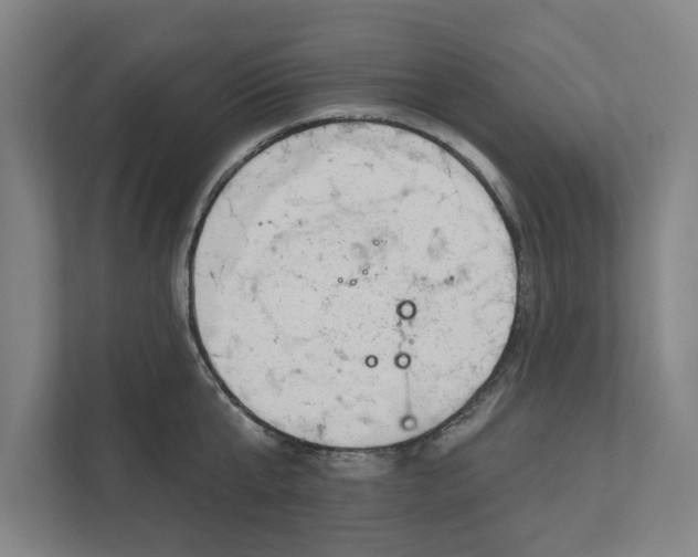 X0000111940807200908171256