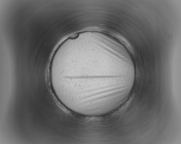 X0000111940808200908171256