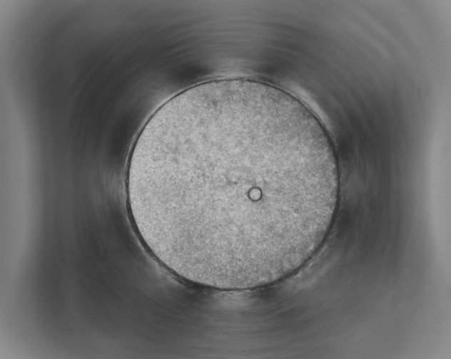 X0000111940810200908171256