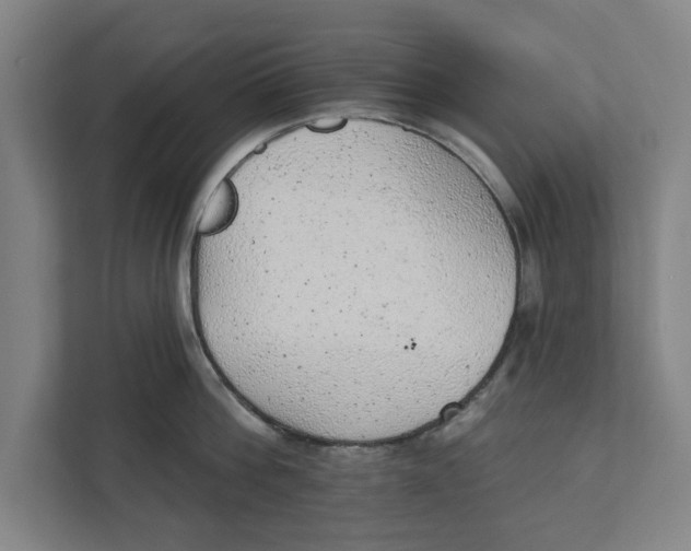 X0000111940812200908171256