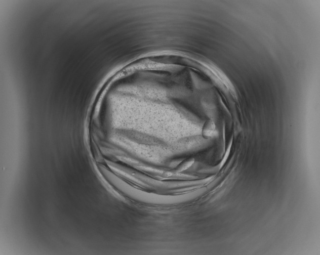 X0000111940813200908171256