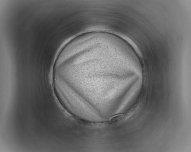 X0000111940815200908171255