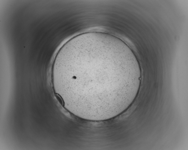 X0000111940816200908171255