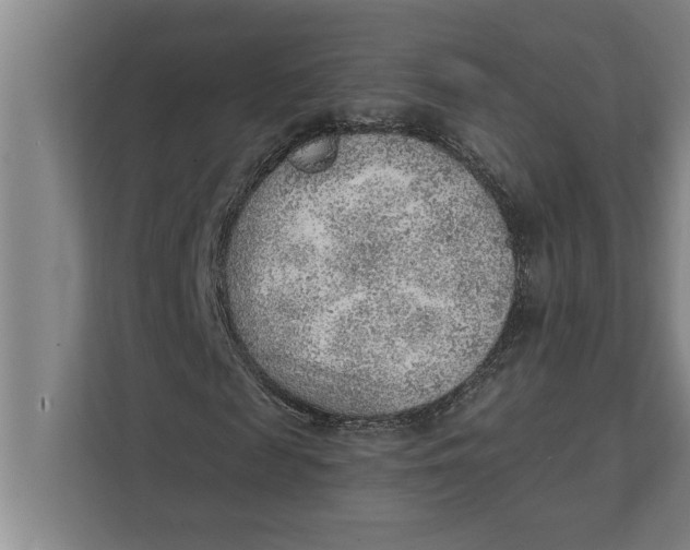 X0000111940817200908171255