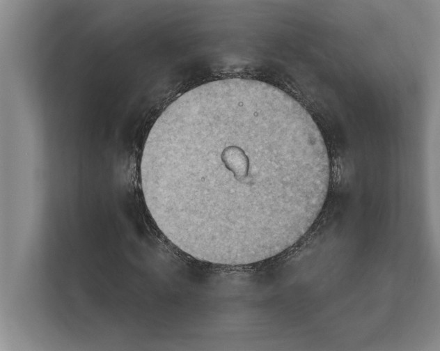 X0000111940820200908171255