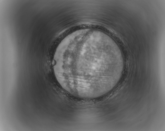 X0000111940822200908171255