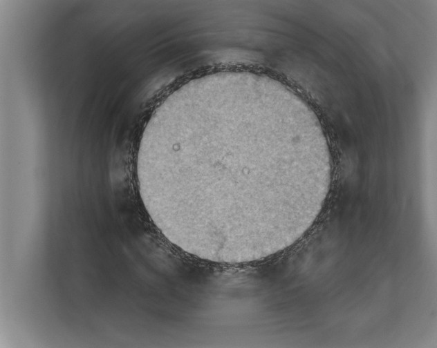 X0000111940824200908171255