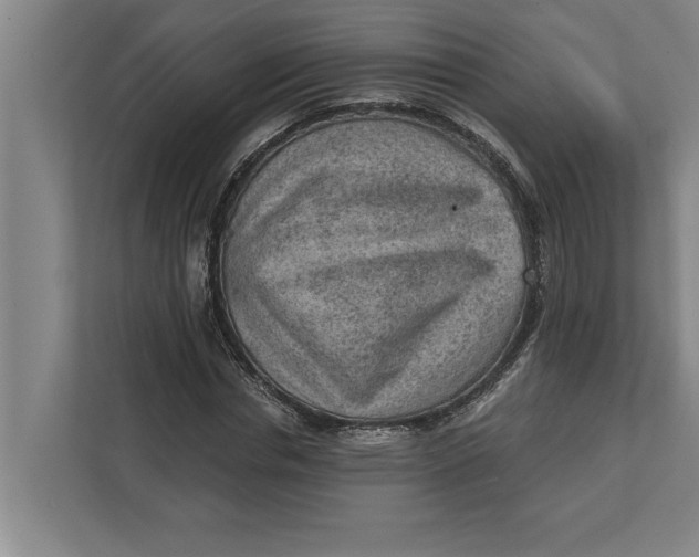 X0000111940826200908171255