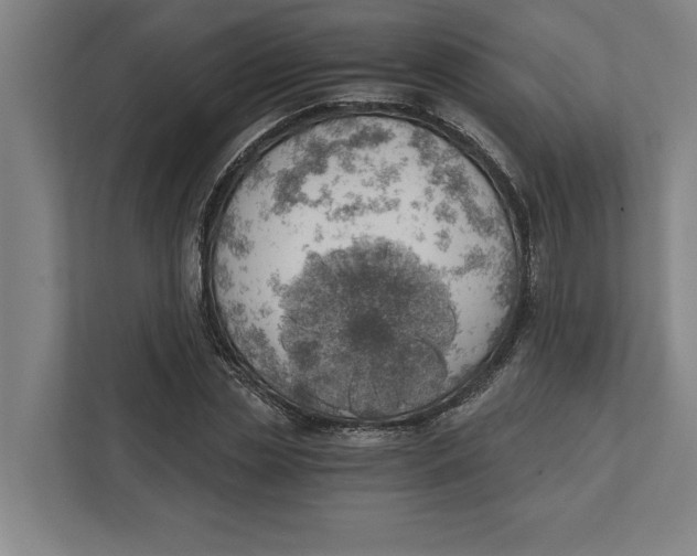 X0000111940829200908171255