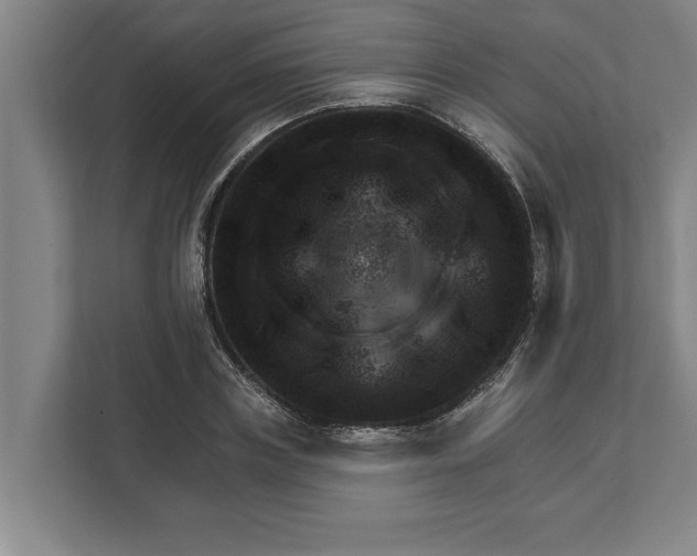 X0000111940835200908171255