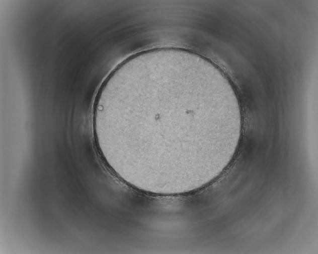 X0000111940836200908171255