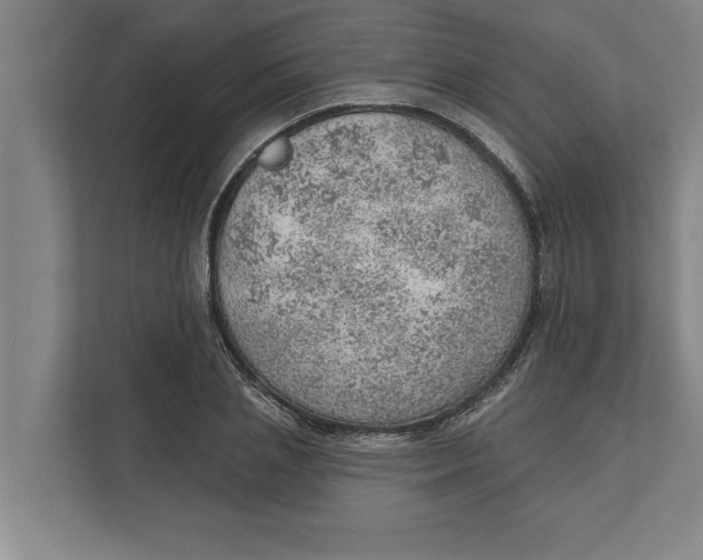 X0000111940837200908171255