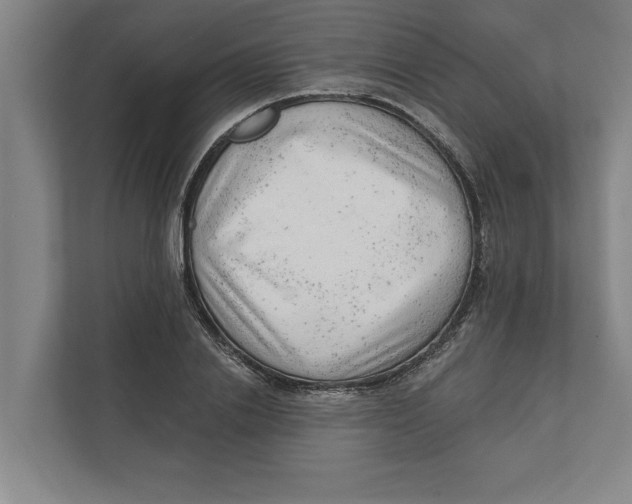 X0000111940838200908171255