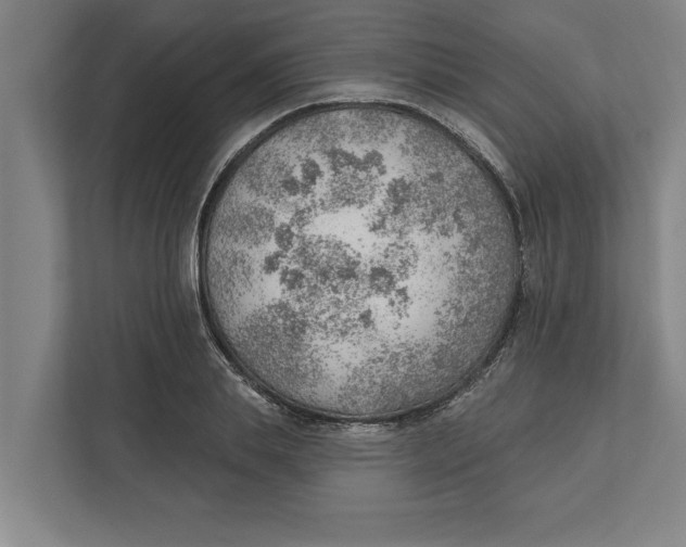 X0000111940839200908171255