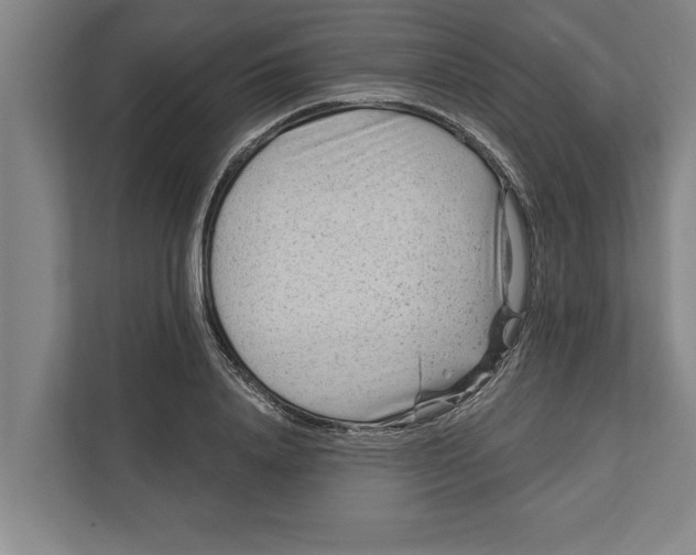 X0000111940840200908171255