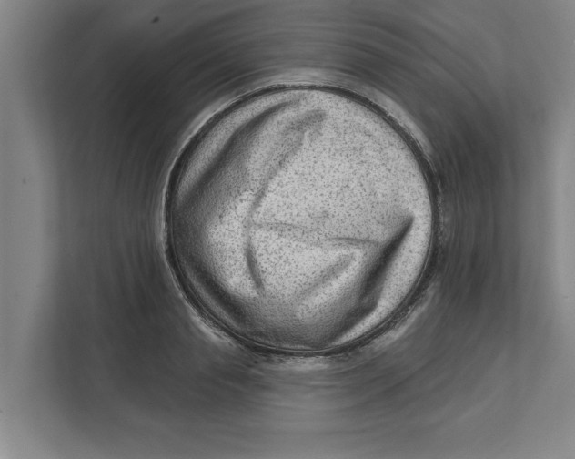 X0000111940845200908171255