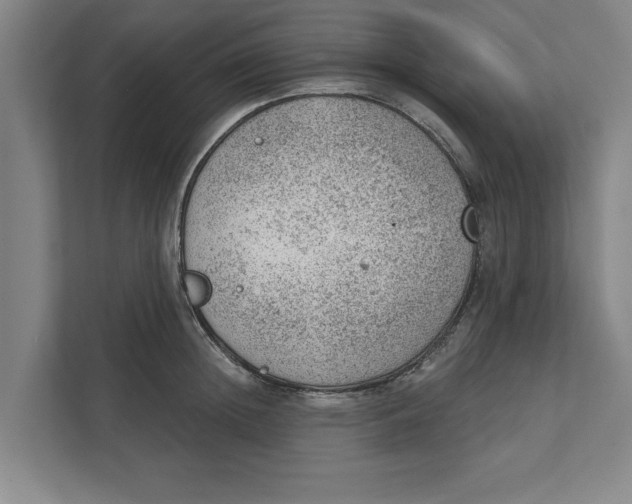 X0000111940852200908171255