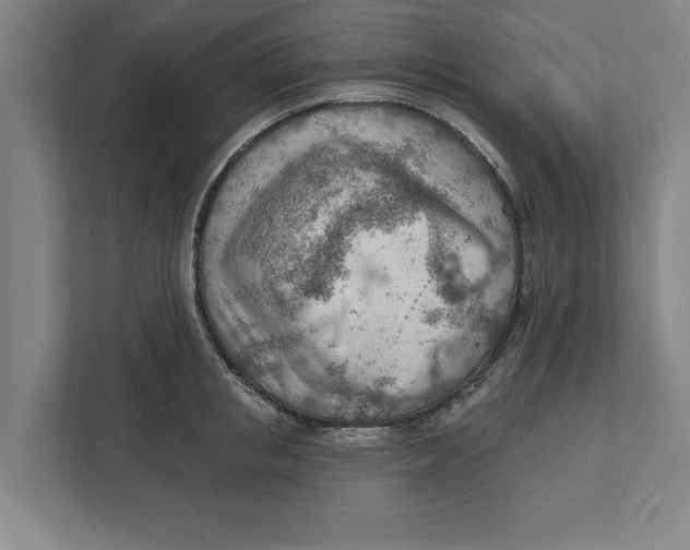 X0000111940853200908171255