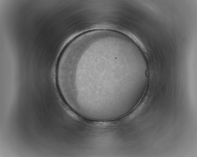 X0000111940854200908171255