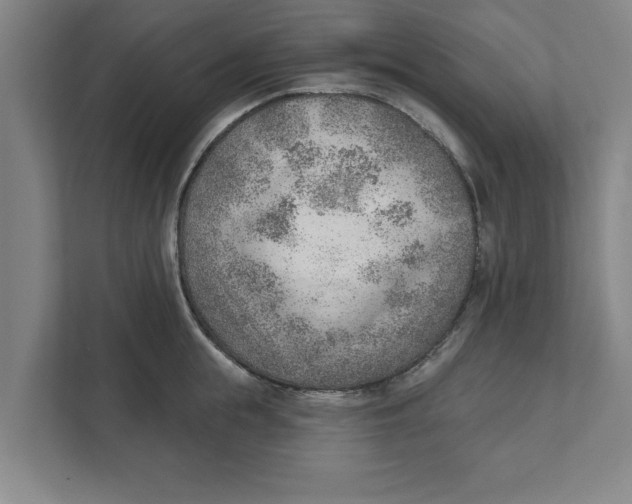 X0000111940855200908171255