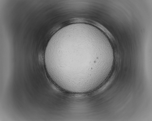 X0000111940857200908171255