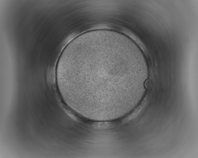 X0000111940858200908171255