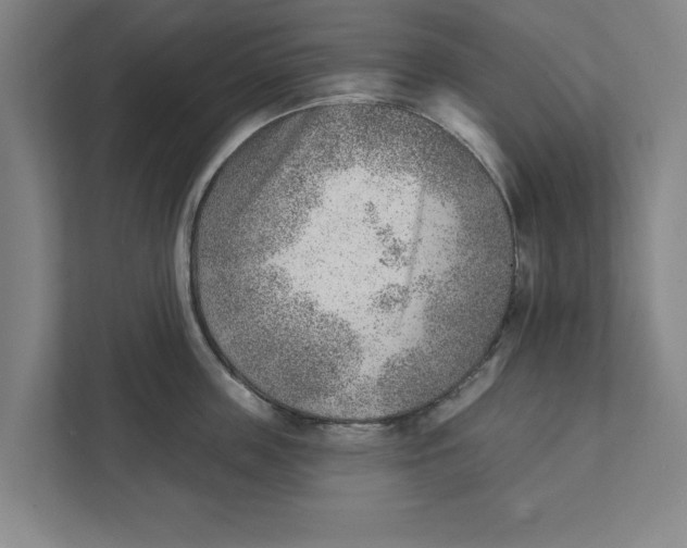 X0000111940859200908171255