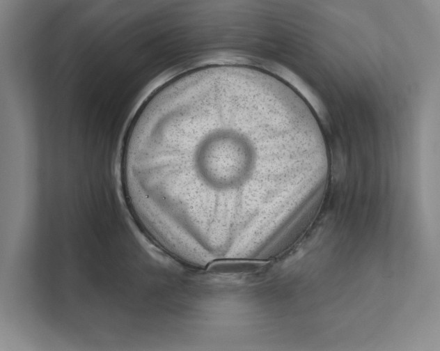 X0000111940861200908171255