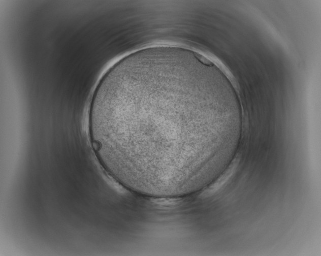 X0000111940862200908171255