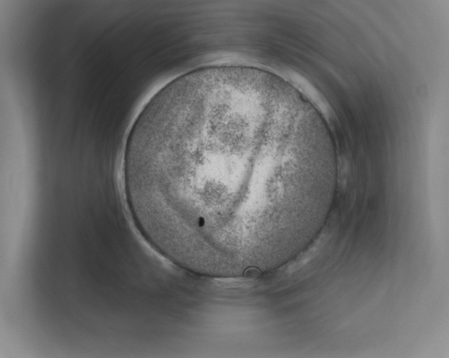 X0000111940863200908171255