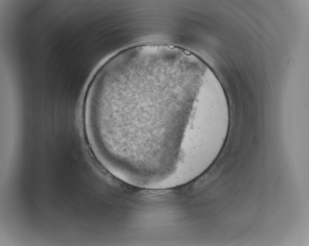 X0000111940864200908171255