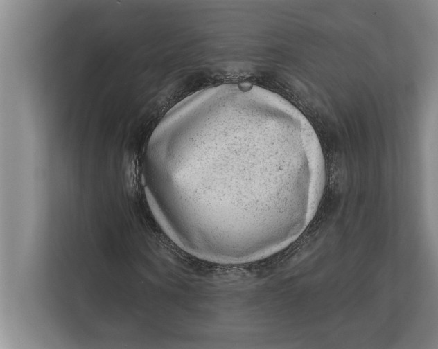 X0000111940866200908171255