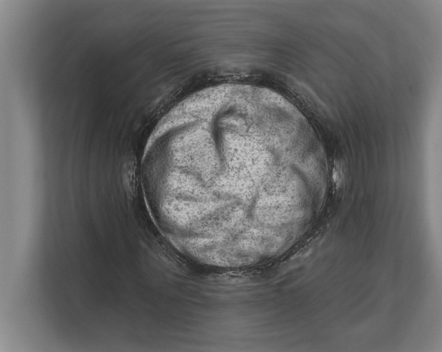 X0000111940867200908171255